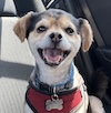 Tyson